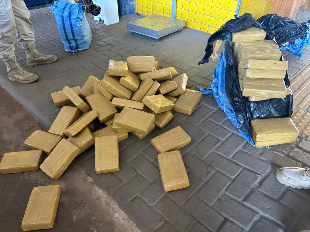 Mais de 200 kg de skunk são encontrados escondidos em carga de paletes na BR-364, em Vilhena