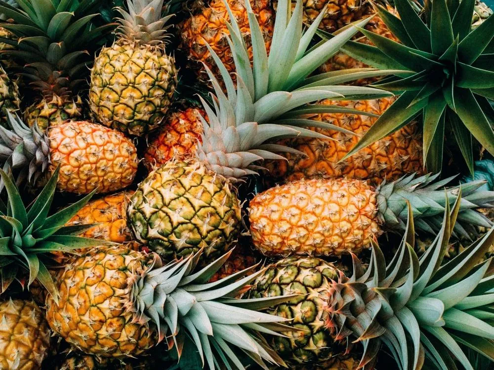 Rondônia participa de programa da Anvisa para monitorar resíduos de agrotóxicos em alimentos