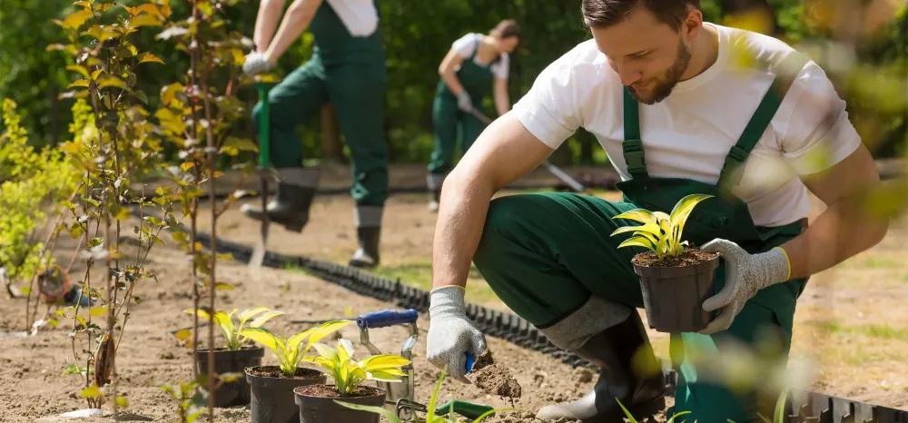 CAPACITAÇÃO GRATUITA: Curso gratuito de Agente de Desenvolvimento Socioambiental tem inscrições abertas até 20 de julho em Rondônia