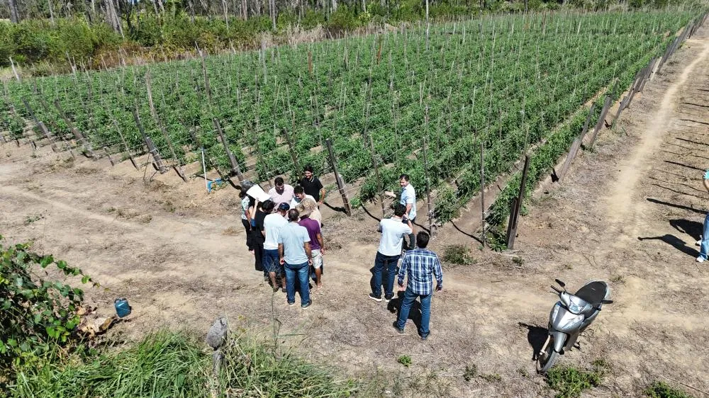 Vereador Nilton Souza reforça compromisso com o setor chacareiro e cobra avanço na regularização fundiária em Porto Velho