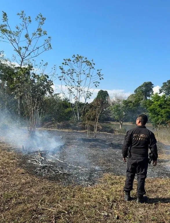 Polícia Federal prende homem em flagrante por queimada ilegal em Rondônia