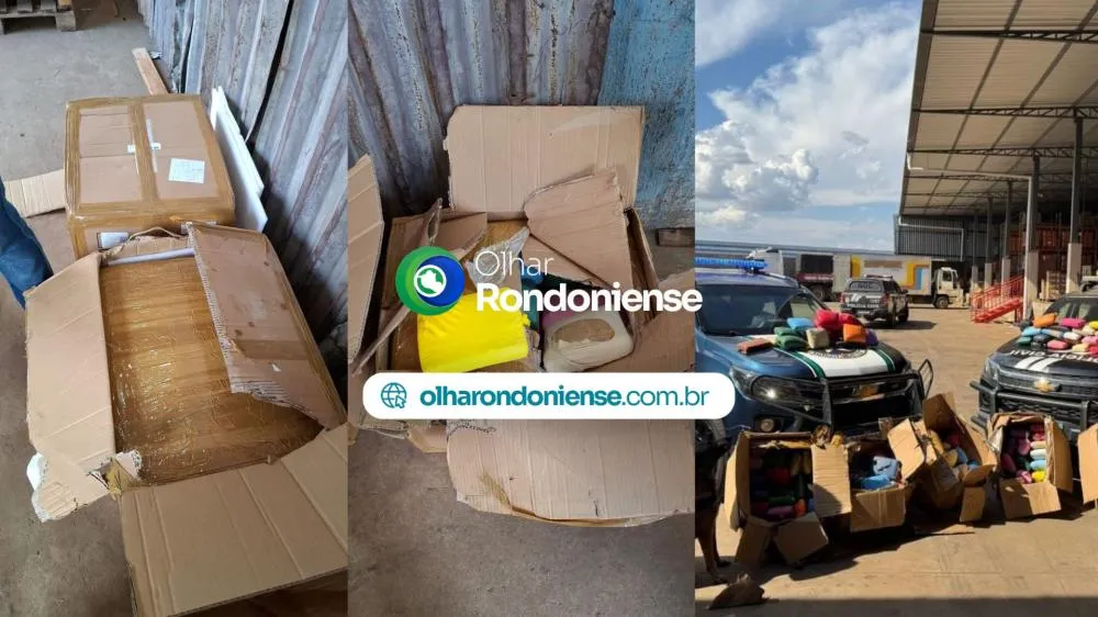 Grande apreensão de drogas na BR-319: caminhoneiro é detido com 200 kg de entorpecentes