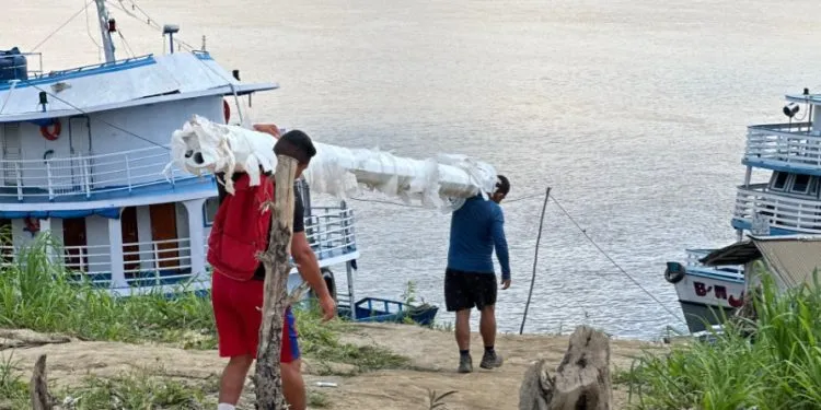 Ellis Regina garante materiais para melhorias em Nazaré e Calama